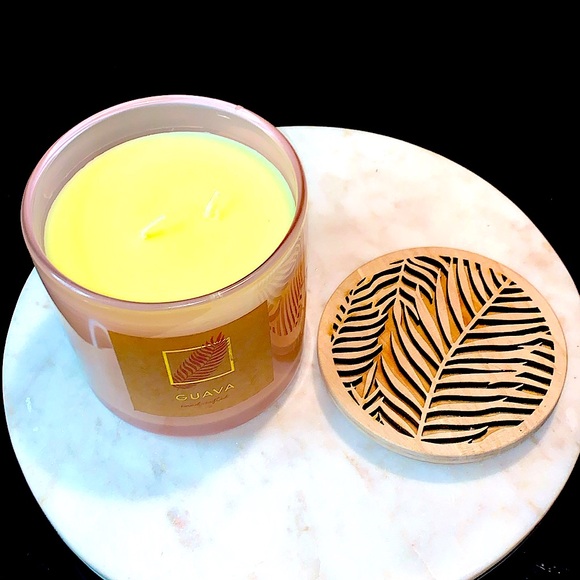 DW HOME CANDLE GUAVA 2 WICK RICHLY SCENTED NEW 21 oz HANDCRAFTED - Picture 5 of 7